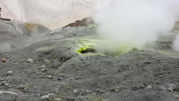 La région environnante du volcan Mutnovsky . 