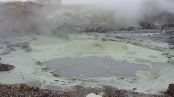 L'area circostante del vulcano Mutnovsky . — Video Stock