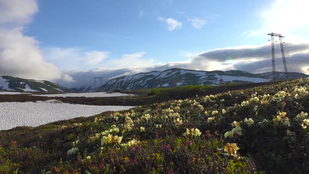 Journey to Kamchatka Peninsula. The surrounding area of Vilyuchinsky volcano. Russia. — Stock Video