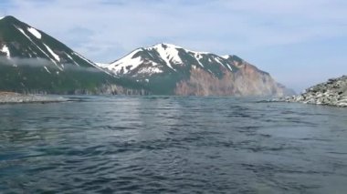 Melez (bitki) Nehri'nin ağzında. Deniz Safari yolculuk Kamçatka Yarımadası boyunca. Rusya.