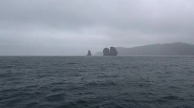 Adanın üç kardeş. Deniz Safari yolculuk Kamçatka Yarımadası boyunca. Rusya.