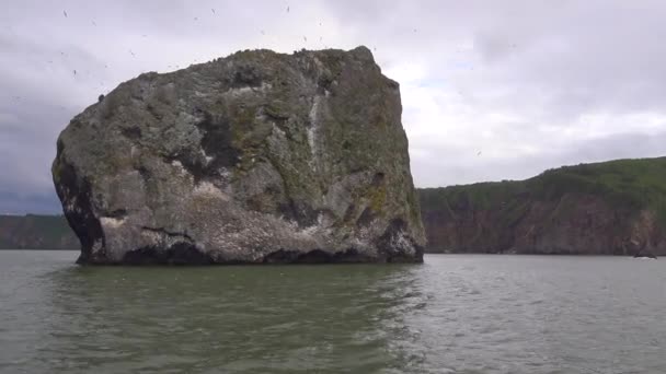 カムチャッカ半島に沿って海のサファリの旅。ロシア. — ストック動画