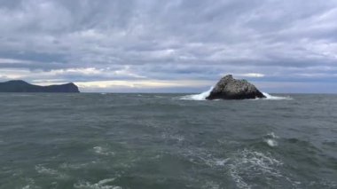 Deniz Safari yolculuk Kamçatka Yarımadası boyunca. Rusya.