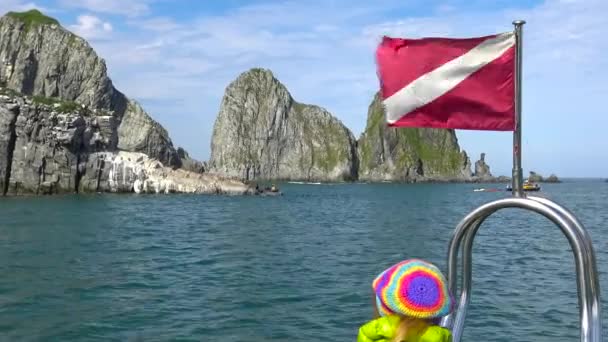 アシカ。カムチャッカ半島に沿って海のサファリの旅。ロシア. — ストック動画
