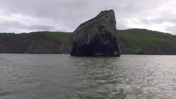 Safari морську подорож вздовж Камчатки півострів. Росія. — стокове відео