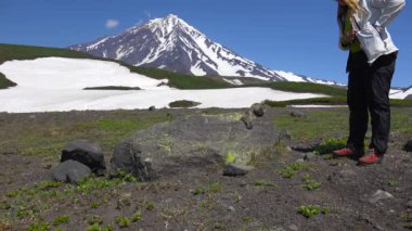 Kamçatka Yarımadası yolculuk. Saf Amerikan alan köpekler.