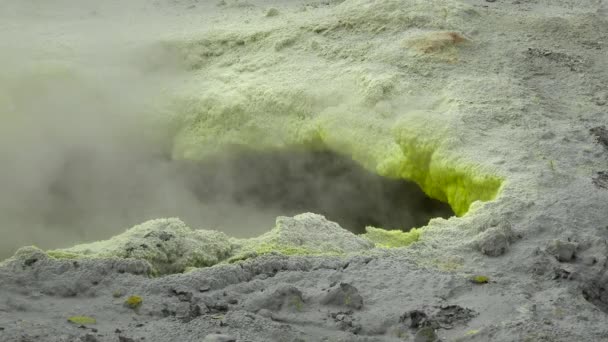 Reise zur Halbinsel Kamtschatka. Umgebung des Mutnovsky-Vulkans. — Stockvideo