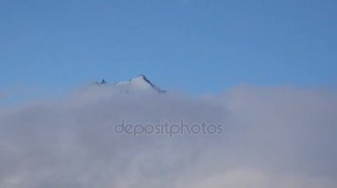 Altın orman gülleri. Kamçatka Yarımadası yolculuk. Çevresi Vilyuchinsky yanardağ.