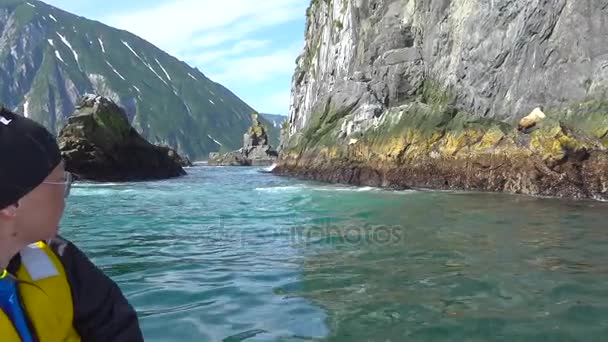 Deniz Aslanları. Deniz Safari yolculuk Kamçatka Yarımadası boyunca. Rusya. — Stok video