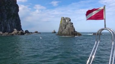 Deniz Aslanları. Deniz Safari yolculuk Kamçatka Yarımadası boyunca. Rusya.