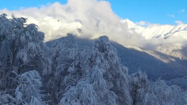 Πλαγιά Του Βουνού Χιονοδρομικό Κέντρο Rosa Khutor Σότσι Ρωσία — Αρχείο Βίντεο