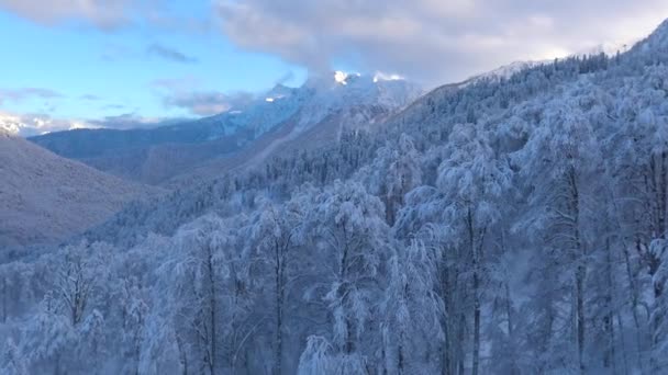 Πλαγιά Του Βουνού Χιονοδρομικό Κέντρο Rosa Khutor Σότσι Ρωσία — Αρχείο Βίντεο