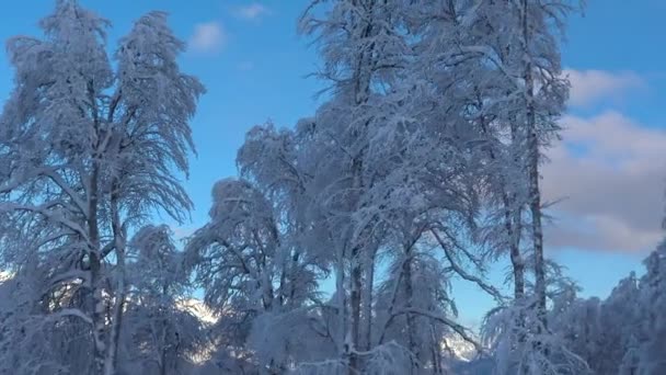 Pente Montagneuse Station Ski Rosa Khutor Sotchi Russie — Video