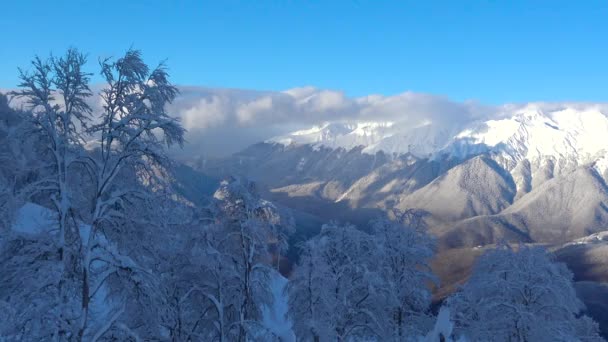 Declive Montanha Estância Esqui Rosa Khutor Sochi Rússia — Vídeo de Stock