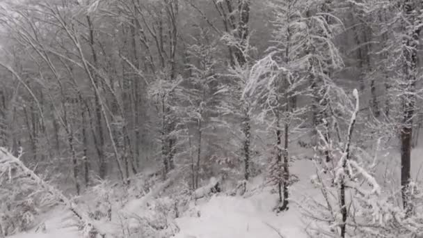 Kar Yağışı Dağ Yamacı Kayak Merkezi Rosa Khutor Sochi Rusya — Stok video