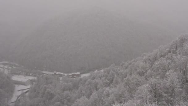 Chute Neige Pente Montagneuse Station Ski Rosa Khutor Sotchi Russie — Video