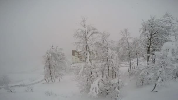 Χιονόπτωση Πλαγιά Του Βουνού Χιονοδρομικό Κέντρο Rosa Khutor Σότσι Ρωσία — Αρχείο Βίντεο