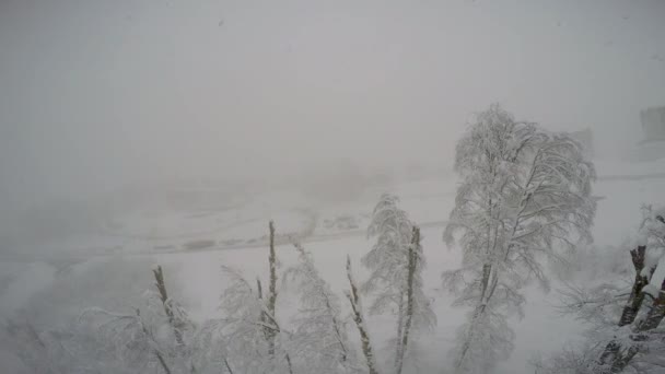 Snöfall Berg Slutta Skidorten Rosa Khutor Sochi Ryssland — Stockvideo