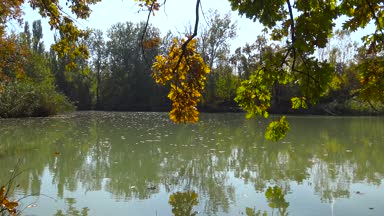  Sonbahar manzara Krasnodar yakınındaki gölde. Rusya. 