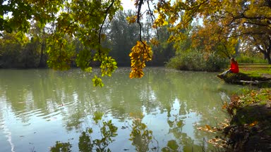  Sonbahar manzara Krasnodar yakınındaki gölde. Rusya. 
