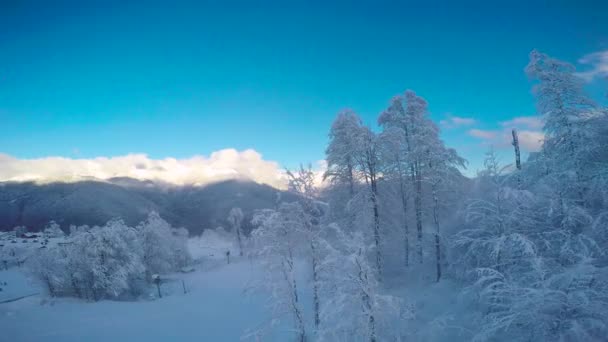 Zboczu Góry Ośrodek Narciarski Rosa Khutor Soczi Rosja — Wideo stockowe