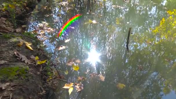 Paisagem Outono Lago Perto Krasnodar Rússia — Vídeo de Stock