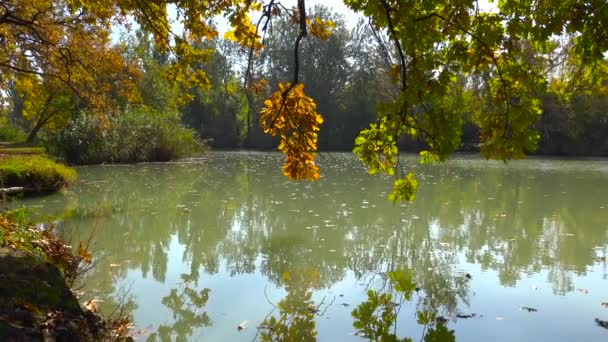 Pemandangan Musim Gugur Danau Dekat Krasnodar Rusia — Stok Video