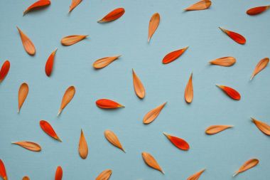 Açık mavi renkli çiçek desenli.