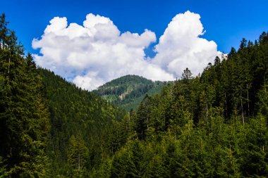 Karpat görünümünde Montainous