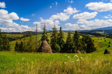 Karpat Haystack Rock