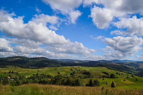 Wiese in den Karpaten — Stockfoto