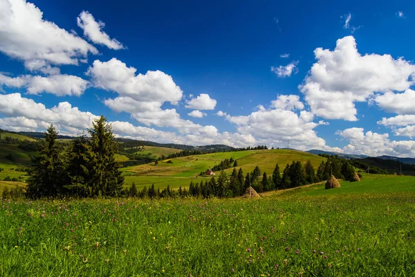 Rural area in the Carpathian — Stock Photo, Image