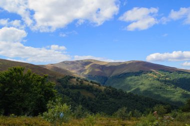 Yaz aylarında Karpat Dağları