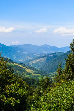 Yaz aylarında Karpat Dağları