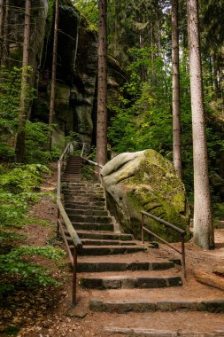 Bohem cennetinde Hruboskalsko kaya oluşumları, Doğa Rezervi, Cesky Raj, Çek Cumhuriyeti. 16 Mayıs 2020