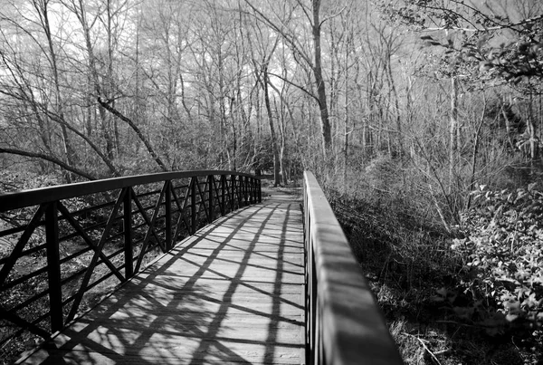 Walking bridge in forest