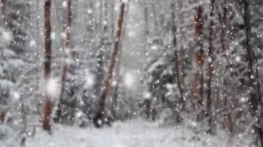 Ormana kar yağışı