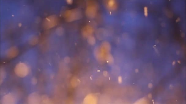 Bokeh neve na luz da lanterna — Vídeo de Stock