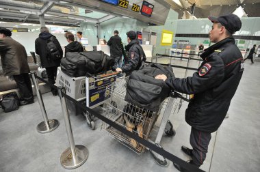 Polis köpekleri havaalanında ile