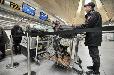 Polis köpekleri havaalanında ile