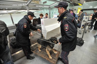 Polis köpekleri havaalanında ile