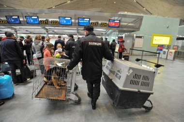 Polis köpekleri havaalanında ile