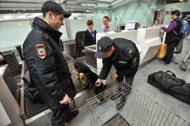 Polis köpekleri havaalanında ile