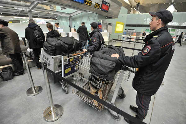 Polizei mit Hunden am Flughafen — Stockfoto