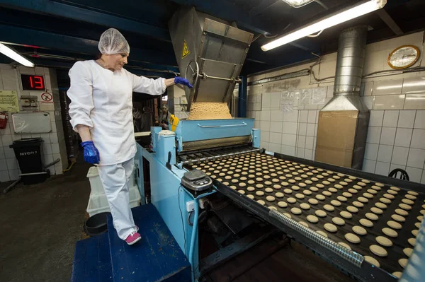 Çok tatlı pasta yemek fabrikası büyük üretim — Stok fotoğraf