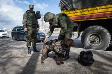 Warriors sappers with service dogs clipart