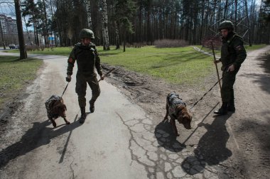 Savaşçılar lağımcılar hizmet köpekler