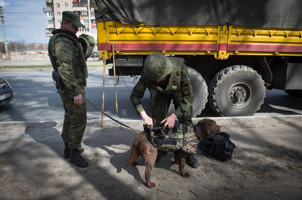 Warriors sappers with service dogs