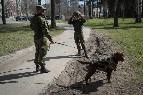 Savaşçılar lağımcılar hizmet köpekler