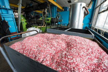 Plastik işleme tesisinde toz kırıntı renkli ve